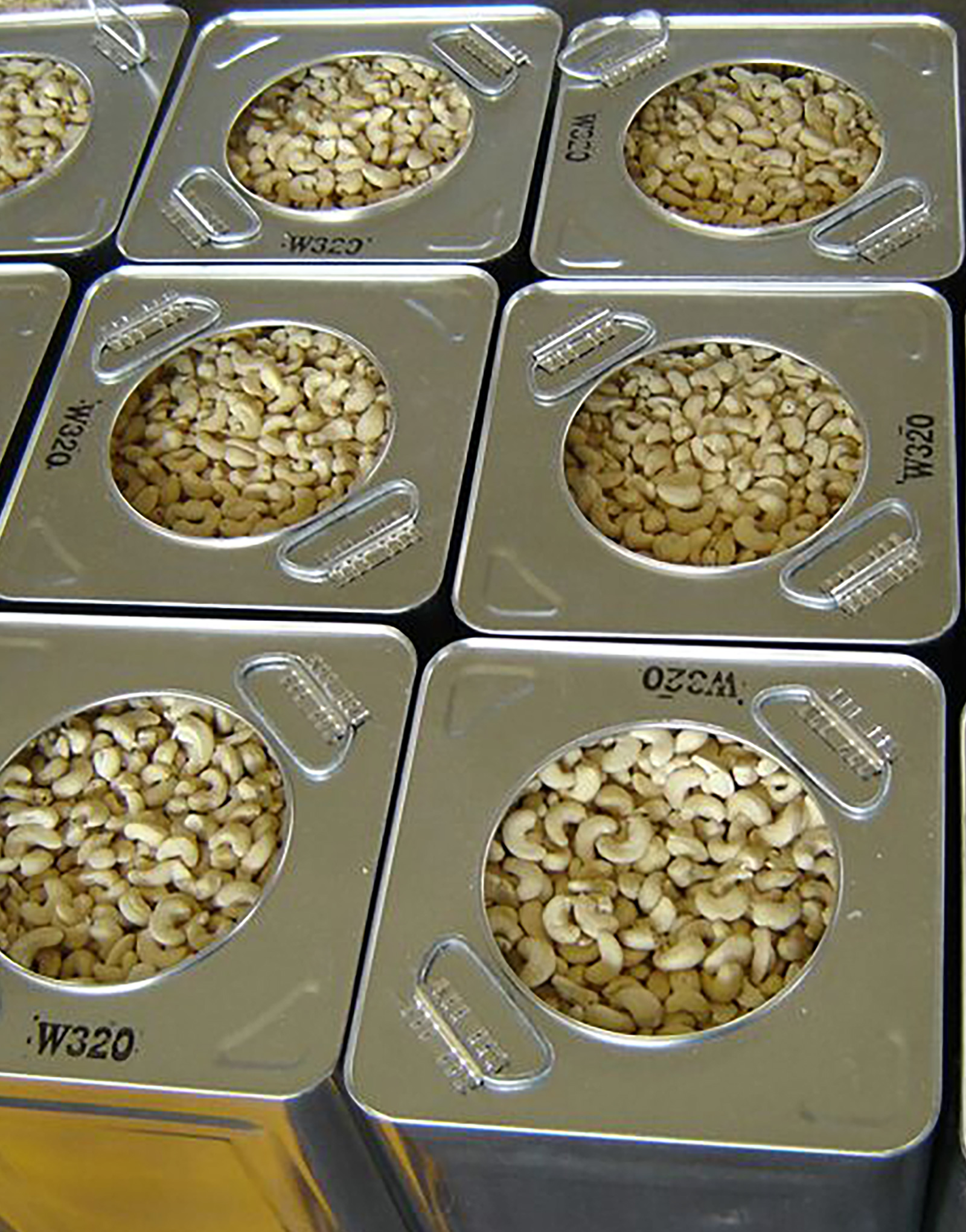 products-cashew-kernel-1