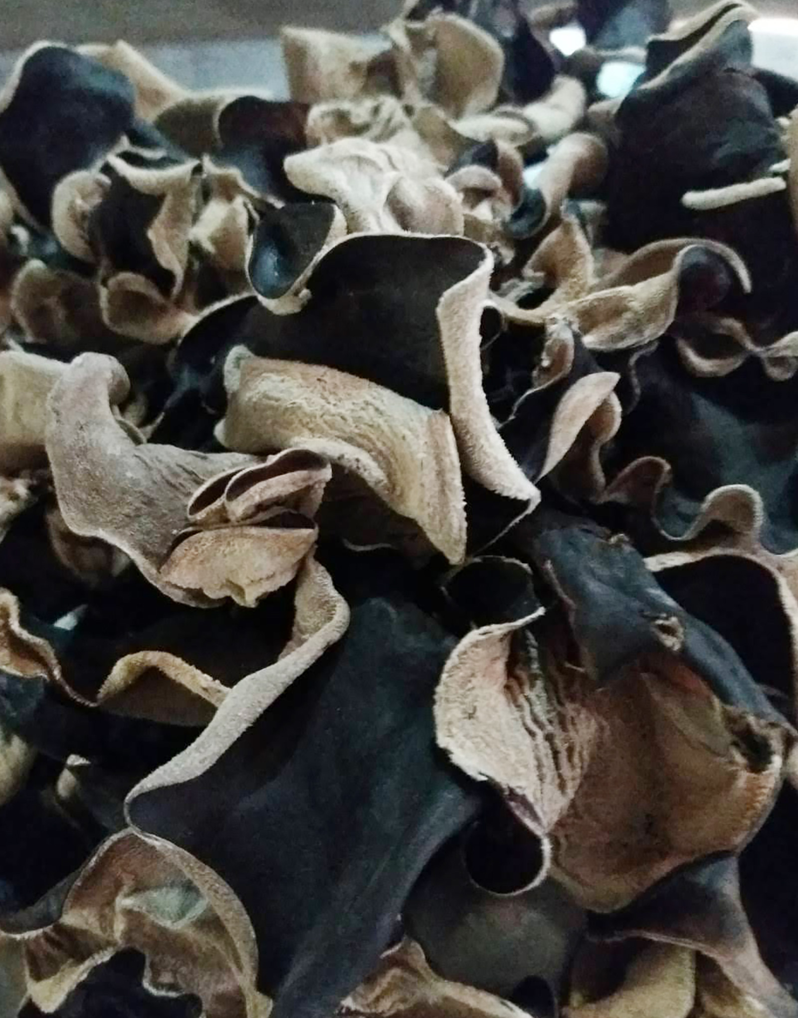 products-mushroom-3